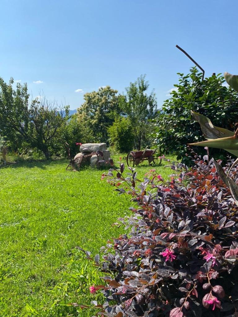 Hotel Quinta Da Tulha By Vimahotels Guimarães Buitenkant foto