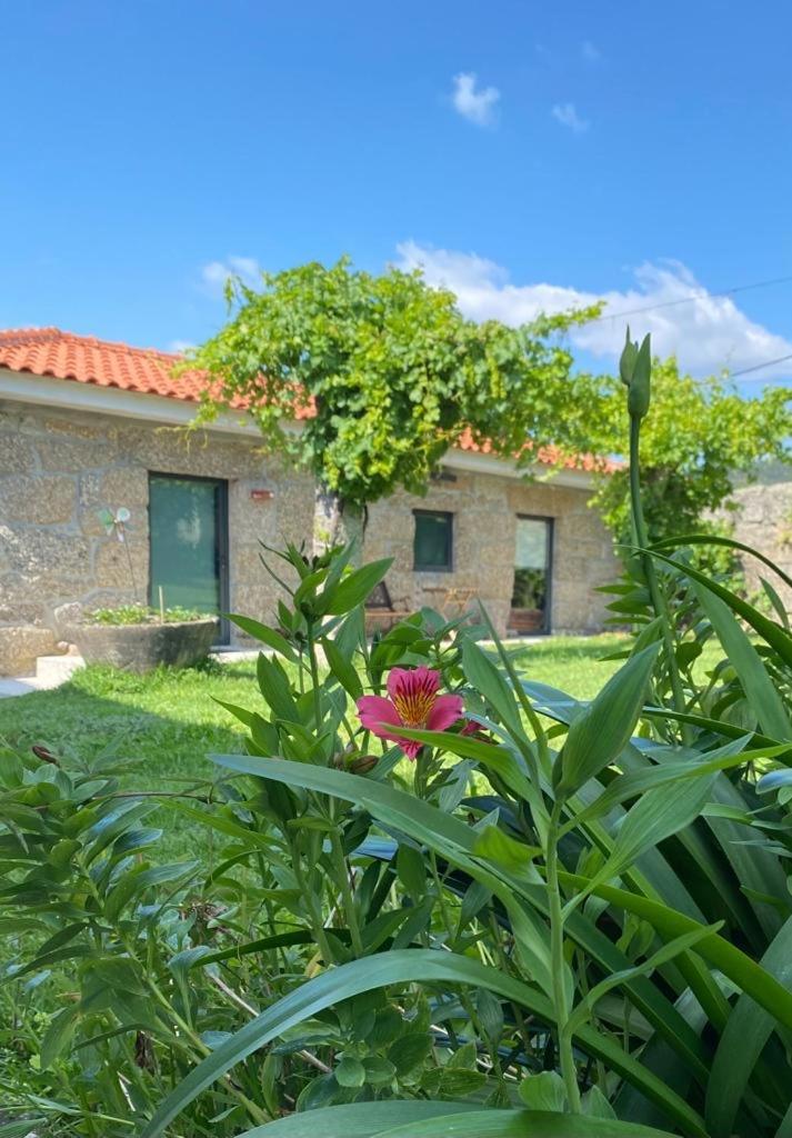 Hotel Quinta Da Tulha By Vimahotels Guimarães Buitenkant foto